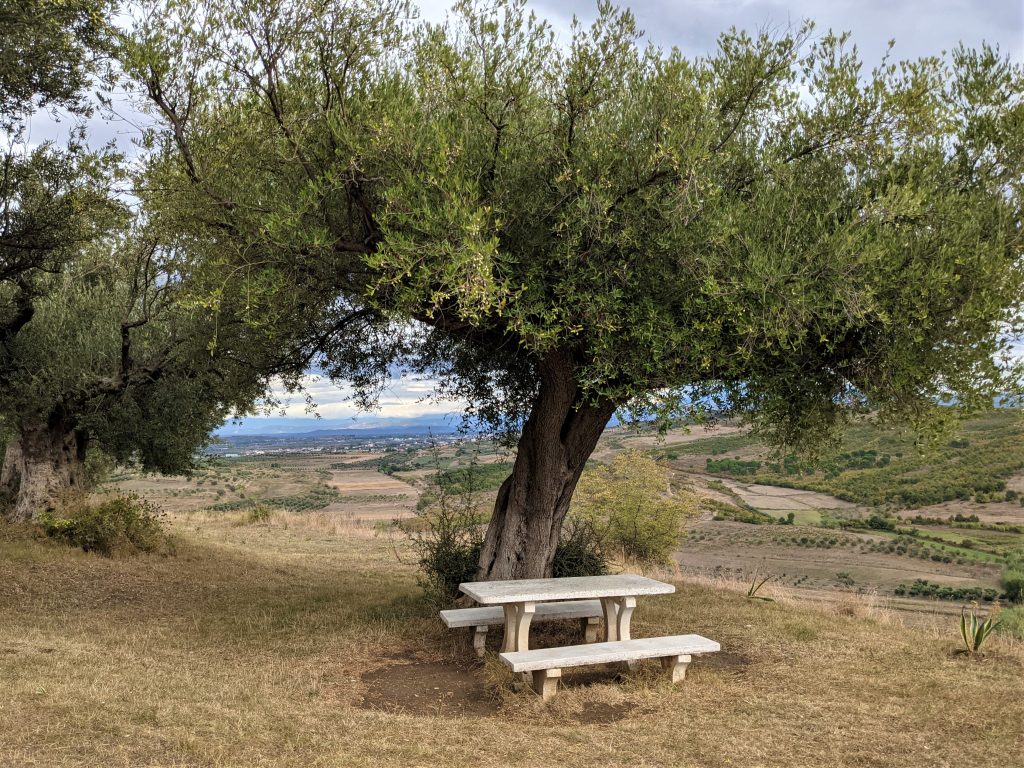 Banc et arbre avec une belle vue au musée archéologique d'Apollonia à Fier, en Albanie